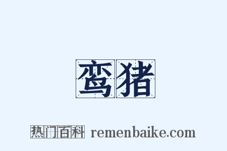 鸾猪是什么意思的图片